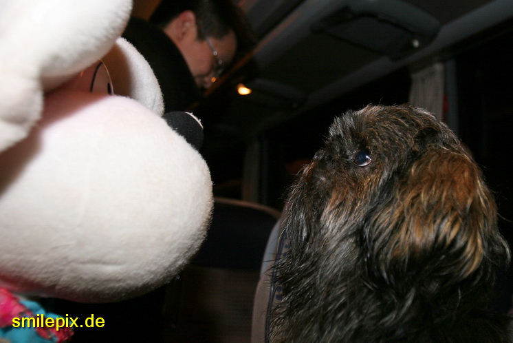 Norden 28.3.09 (1707)